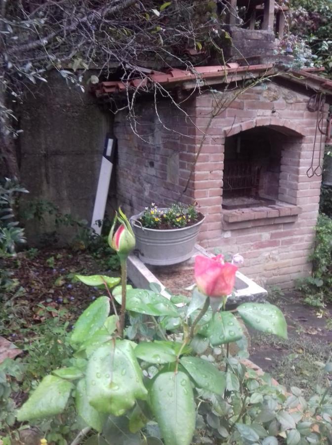 Casa Patti Alle Porte Di سيينا المظهر الخارجي الصورة