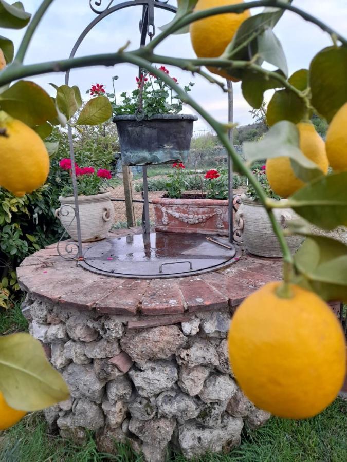 Casa Patti Alle Porte Di سيينا المظهر الخارجي الصورة