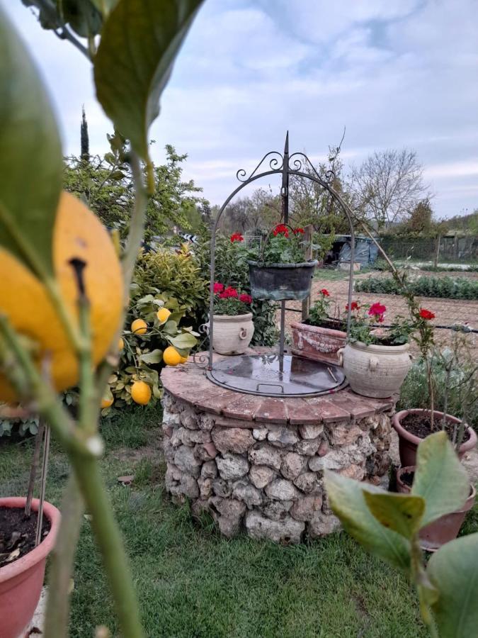 Casa Patti Alle Porte Di سيينا المظهر الخارجي الصورة